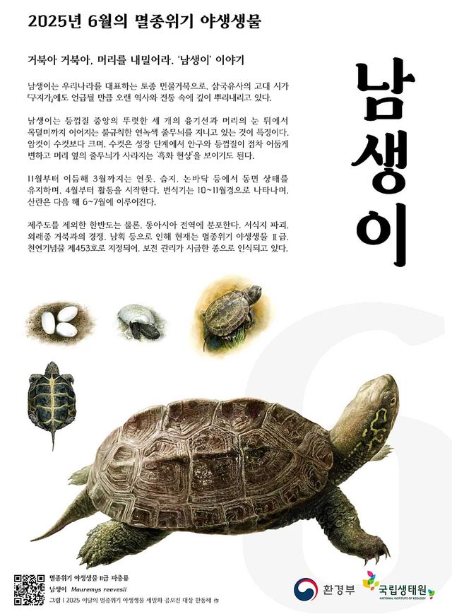 6월 멸종위기 야생생물 남생이 포스터. / 환경부·국립생태원 제공