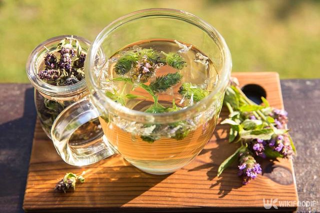 꿀풀차 자료사진. / FotoHelin-shutterstock.com