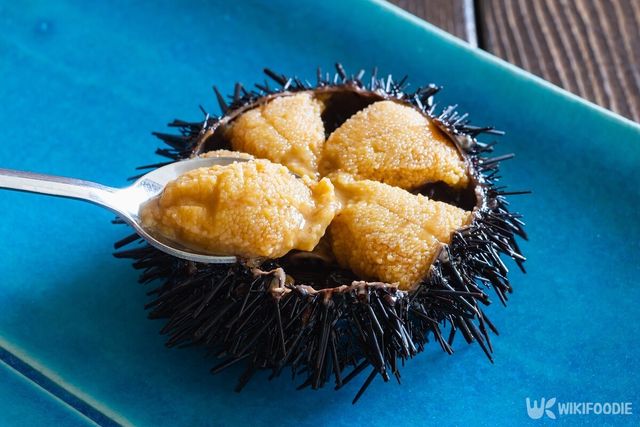 성게는 해산물 중에서도 고급 진미로 꼽힌다. / yukimco-shutterstock.com