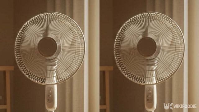 기사 이해를 돕기 위한 자료 사진 / 위키푸디