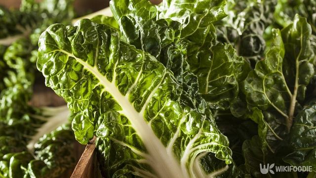 살짝 짭짤한 맛이 나는 근대는 활용도가 높은 채소다. / Brent Hofacker-shutterstock.com