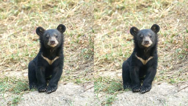 기사 이해를 돕기 위한 자료 사진 / Anan Kaewkhammul- shutterstock