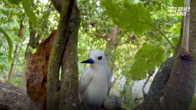 기사 이해를 돕기 위한 자료 사진 / '크랩 KLAB' 유튜브
