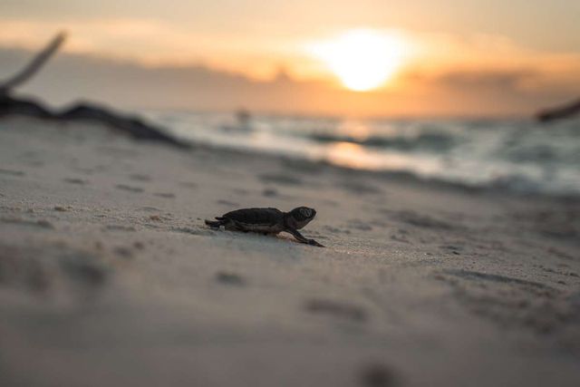 기사 이해를 돕기 위한 자료 사진 / Rick_Kramp- shutterstock