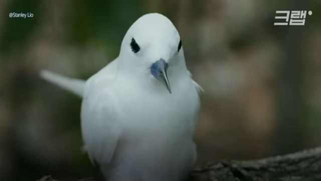 기사 이해를 돕기 위한 자료 사진 / '크랩 KLAB' 유튜브