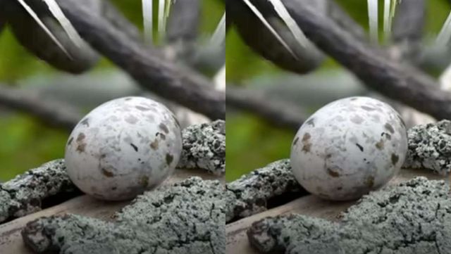 기사 이해를 돕기 위한 자료 사진 / '크랩 KLAB' 유튜브