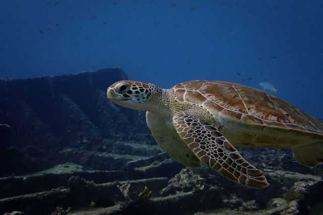 기사 이해를 돕기 위한 자료 사진 / dominiqh- shutterstock