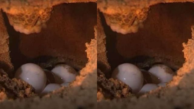 기사 이해를 돕기 위한 자료 사진 / '크랩 KLAB' 유튜브