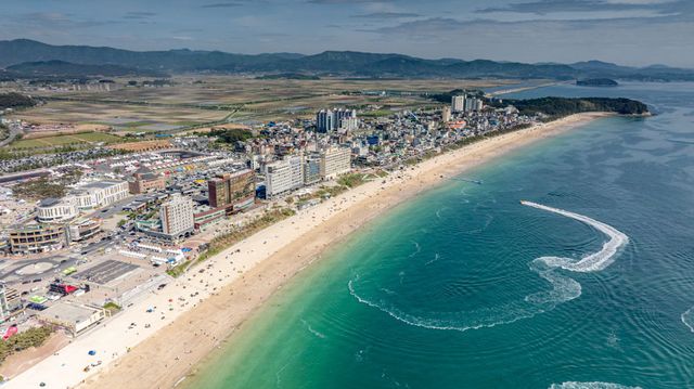 대천해수욕장. / 대천관광협회
