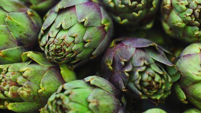 아티초크 자료 사진. / 36106-shutterstock.com
