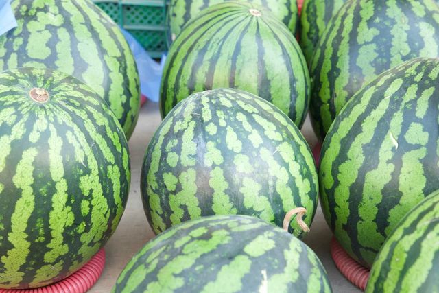 기사 이해를 돕기 위한 수박 이미지 /&nbsp;Healing Films-shutterstock.com