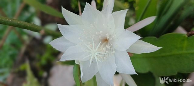 기사의 이해를 돕기 위한 이미지. / Nasamedia23-shutterstock.com