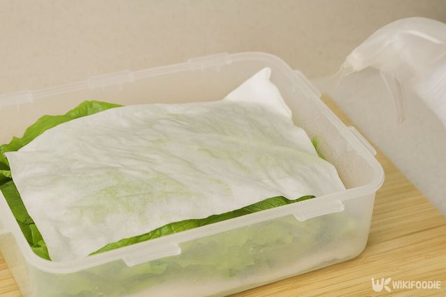 상추 자료 사진. / 위키푸디