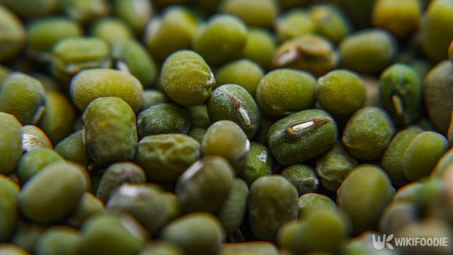 녹두 자료 사진. / 위키푸디