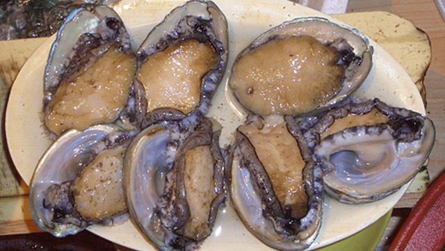 제주도 오분자기 사진 . / 제주특별자치도 공식 사이트