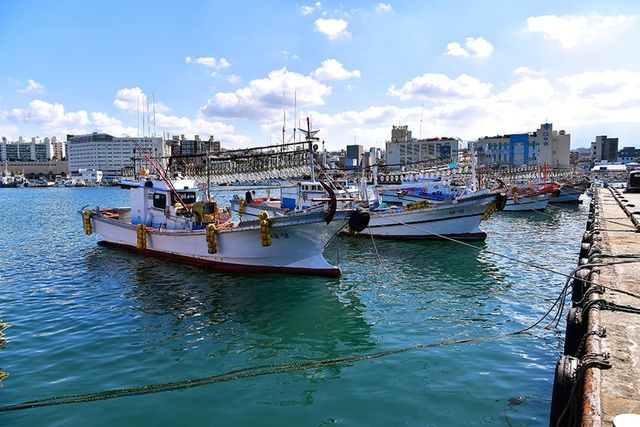 제주항 사진. / 한국관광공사