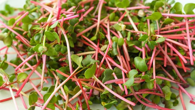 무순 자료 사진. / Eugene_Photo-shutterstock.com