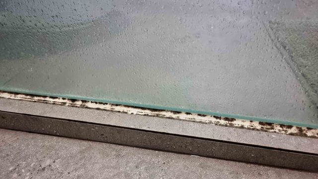 화장실 곰팡이 / RJ22-shutterstock.com