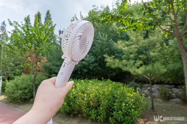 기사의 이해를 돕기 위한 이미지. / JW Company-shutterstock.com