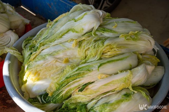 여름철 배추가 무더위로 인해 작황이 좋지 않은 상황이다. / Cheon Jayoung-shutterstock.com