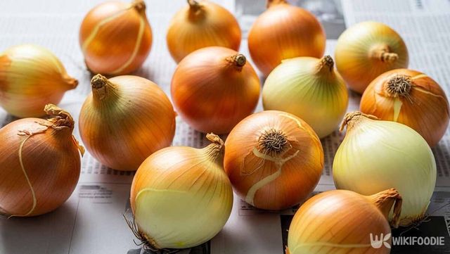 신문지를 깔고 양파를 큐어링 하고 있는 사진. / 위키푸디