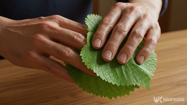 깻잎으로 손을 닦는 자료 사진. / 위키푸디