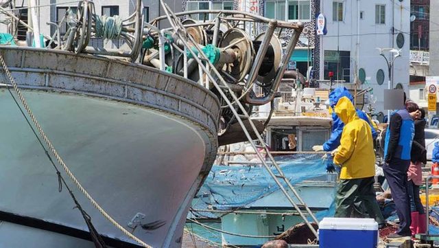기장군 바다에서 그물 수확 중인 사진 / 기장군 공식 블로그