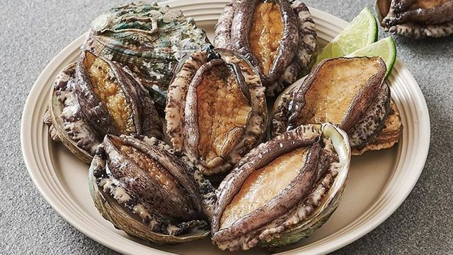 완도 활전복 사진. / 롯데마트