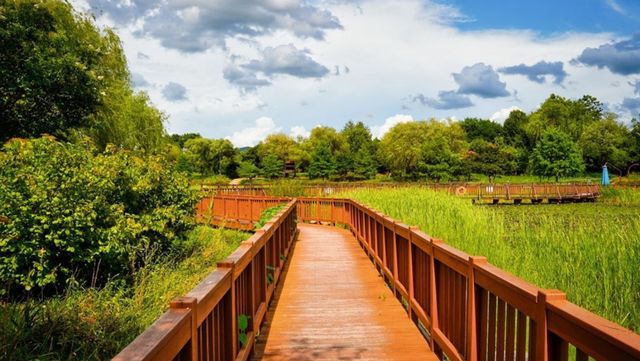 한밭수목원 사진. / 대전시 공식 블로그 사진