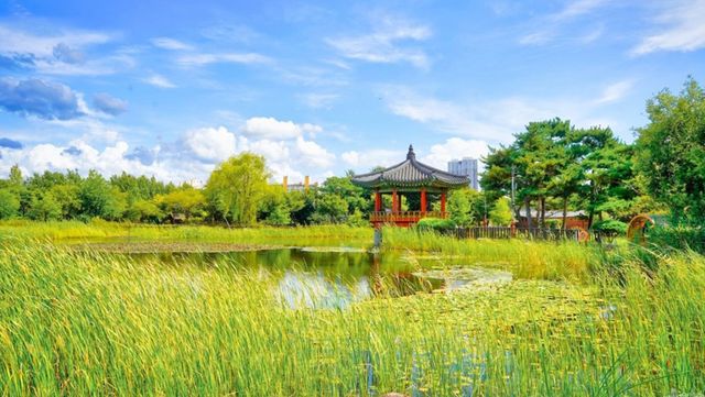 한밭수목원 사진. / 대전시 공식 블로그