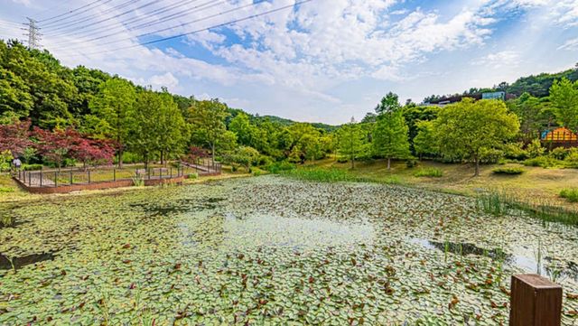 황학산수목원 사진. / 여주시 공식 블로그