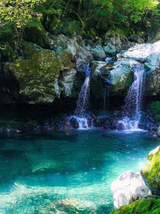 제주 돈내코 / 제주관광공사 '비짓제주'