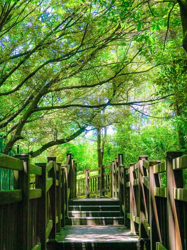 제주 돈내코 / 제주관광공사 '비짓제주'