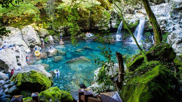 제주 돈내코 / 제주관광공사 '비짓제주'