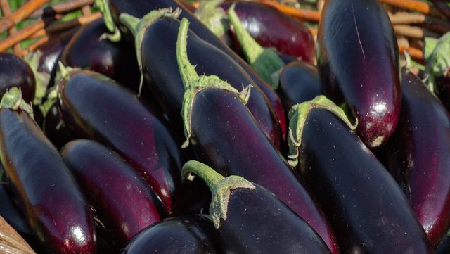 가지 자료 사진. / photalina-shutterstock.com