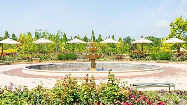 일월수목원 사진. / 한국관광공사