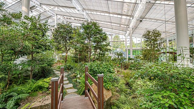 난대식물원 사진. / 여주시 공식 블로그