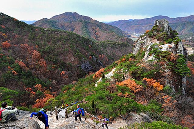 아미산 / 군위군청