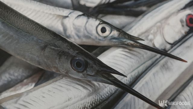 학꽁치 자료 사진. / 위키푸디