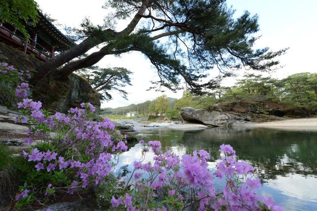 성령산 / 거창군