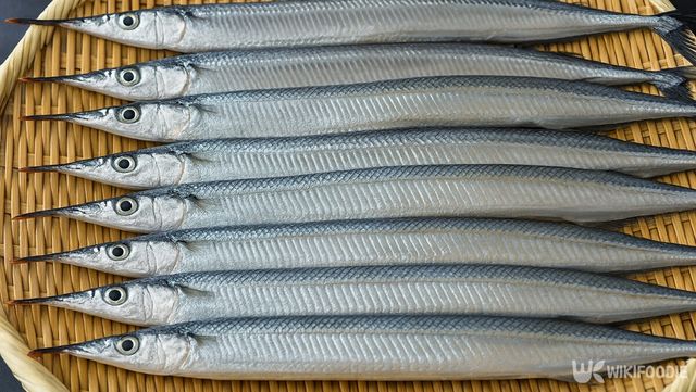 학꽁치 자료 사진. / 위키푸디