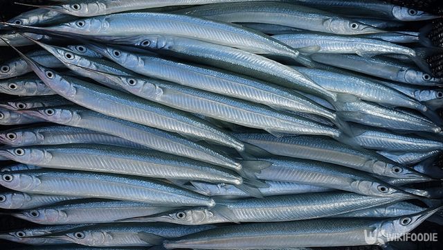 학꽁치 자료 사진. / 위키푸디