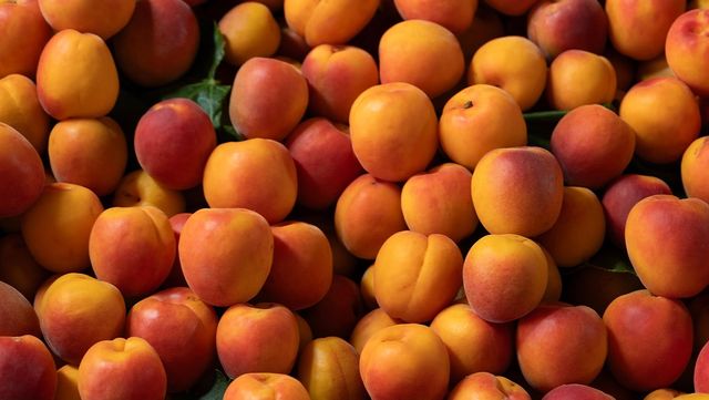 살구 자료 사진. / Onder Ortel-shutterstock.com