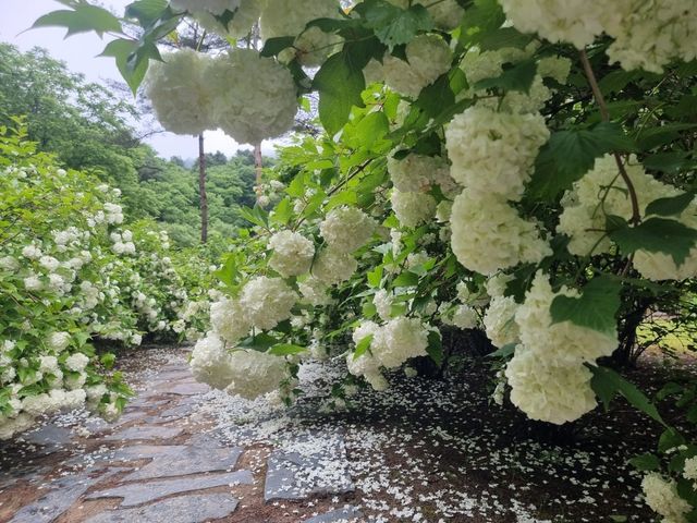 수타사농촌테마공원. / 홍천군 공식 블로그