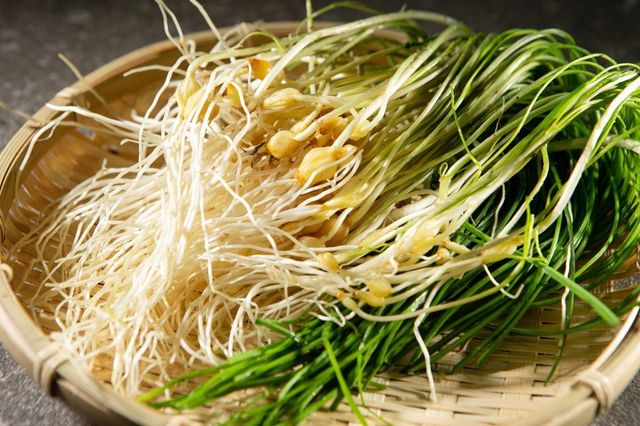 달래 사진. / mnimage-shutterstock.com