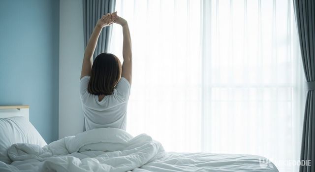 기상 사진. / 위키푸디