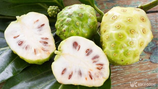 노니 자료 사진. / 위키푸디