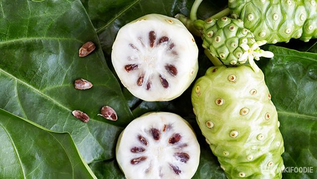 노니 자료 사진. / 위키푸디