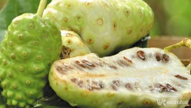 노니 자료 사진. / 위키푸디