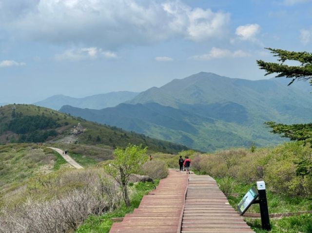 지리산. / 국립공원공단 공식 블로그